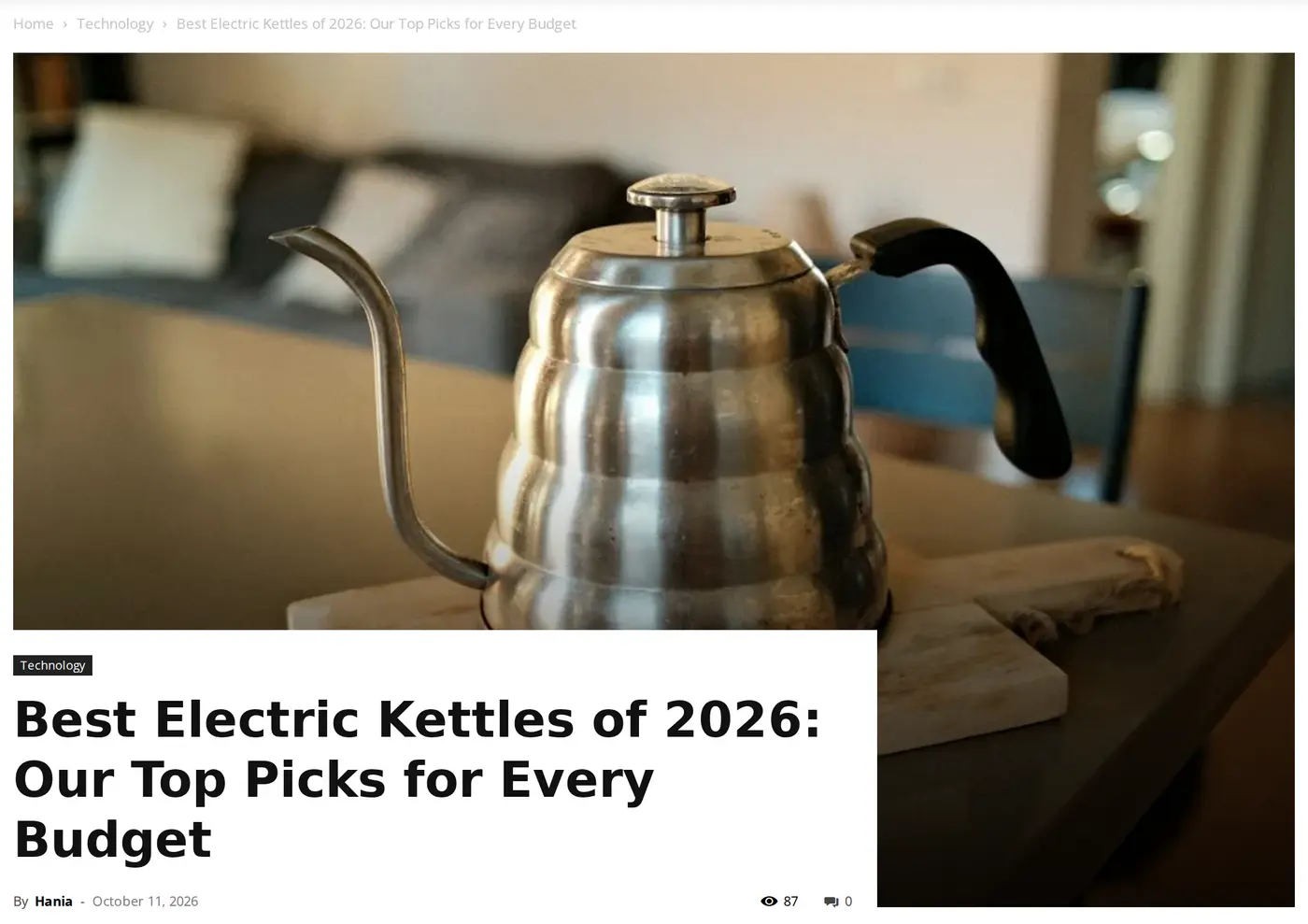An article on wanderby.com titled Best Electric Kettles of 2026: Our Top Picks for Every Budget, with a large photo of a steel kettle, written by Hania